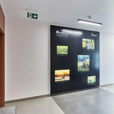 Apartment Malopanewska Breslau